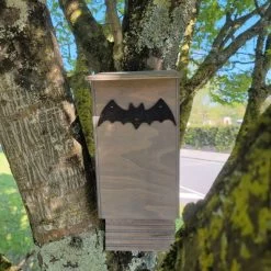 Nichoir Chauve-souris Bois FSC Petite Taille -Poulailler Série Magasin maison chauve souris petite face avant
