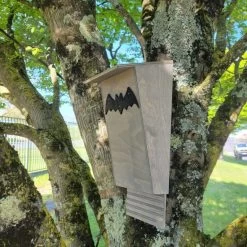 Nichoir Chauve-souris Bois FSC Petite Taille -Poulailler Série Magasin maison chauve souris petite vue c t