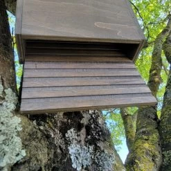 Nichoir Chauve-souris Bois FSC Petite Taille -Poulailler Série Magasin maison chauve souris petite vue dessous