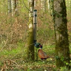 Mangeoire Pour Poule En Plastique Gris Tube Transparent 7kg Prima - Evena 22 Mangeoire Pour Poule En Plastique Gris Tube Transparent 7kg Prima - Evena -Poulailler Série Magasin mangeoire poule plastique tube transparent en foret