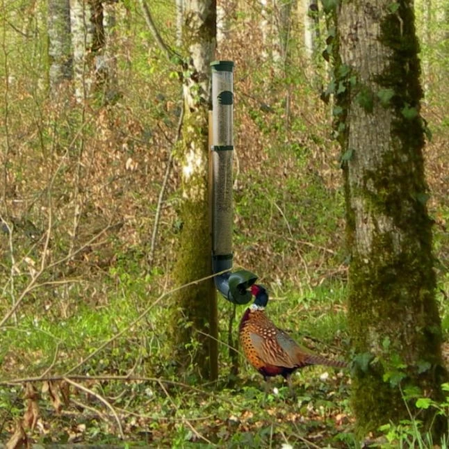 Mangeoire Pour Poule En Plastique Gris Tube Transparent 7kg Prima - Evena 12 Mangeoire Pour Poule En Plastique Gris Tube Transparent 7kg Prima - Evena – Image 10