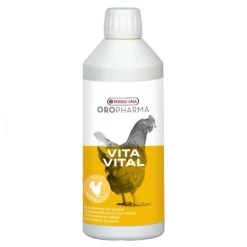 VERSELE-LAGA Complexe Multivitaminé Pour Volailles VitaVital 500ML - Versele Laga 7 VERSELE-LAGA Complexe Multivitaminé Pour Volailles VitaVital 500ML - Versele Laga -Poulailler Série Magasin oropharma vita vital 500 image 2 1