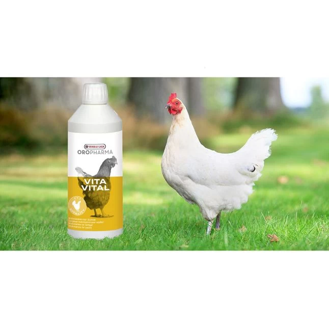 VERSELE-LAGA Complexe Multivitaminé Pour Volailles VitaVital 500ML - Versele Laga 4 VERSELE-LAGA Complexe Multivitaminé Pour Volailles VitaVital 500ML - Versele Laga – Image 2