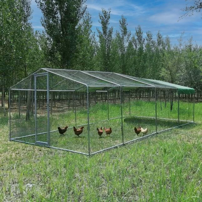 Enclos Poulailler 24m² Tubes 38mm H2,25m - Parc Grillagé Renforcé 8x3m - Acier Galvanisé 3 Enclos Poulailler 24m² Tubes 38mm H2,25m - Parc Grillagé Renforcé 8x3m - Acier Galvanisé