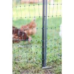 Piquet Support Pour Filet à Poules En Acier Galvanisé Et Gaine Plastique 120cm - Kerbl 12 Piquet Support Pour Filet à Poules En Acier Galvanisé Et Gaine Plastique 120cm - Kerbl -Poulailler Série Magasin piquet support pour filet o14mm 120cm kerbl vue 5