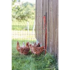 Piquet Support Pour Filet à Poules En Acier Galvanisé Et Gaine Plastique 120cm - Kerbl 15 Piquet Support Pour Filet à Poules En Acier Galvanisé Et Gaine Plastique 120cm - Kerbl -Poulailler Série Magasin piquet support pour filet o14mm 120cm kerbl vue 6