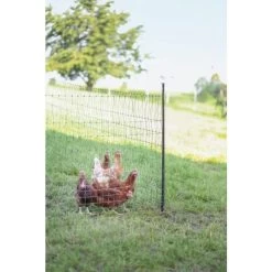 Piquet Support Pour Filet à Poules En Acier Galvanisé Et Gaine Plastique 120cm - Kerbl 13 Piquet Support Pour Filet à Poules En Acier Galvanisé Et Gaine Plastique 120cm - Kerbl -Poulailler Série Magasin piquet support pour filet o14mm 120cm kerbl vue 7