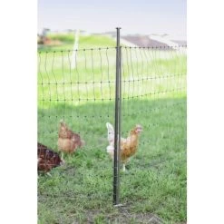 Piquet Support Pour Filet à Poules En Acier Galvanisé Et Gaine Plastique 120cm - Kerbl 14 Piquet Support Pour Filet à Poules En Acier Galvanisé Et Gaine Plastique 120cm - Kerbl -Poulailler Série Magasin piquet support pour filet o14mm 120cm kerbl vue 9