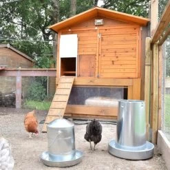 Poulailler Vorwerk Toit Shingle 10 à 12 Poules -Poulailler Série Magasin portier automatique poulailler zen farm vert ambiance 4