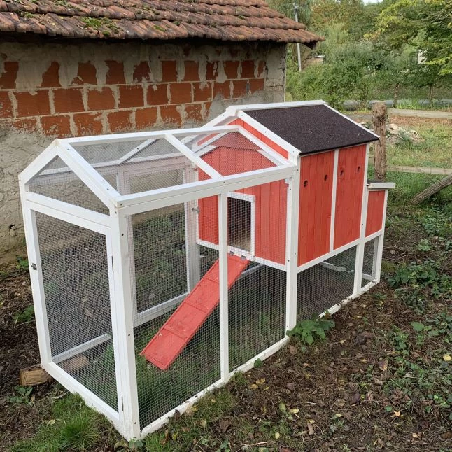 Poulailler Ardennais 6 à 8 Poules Toit Shingle 5 Poulailler Ardennais 6 à 8 Poules Toit Shingle – Image 3