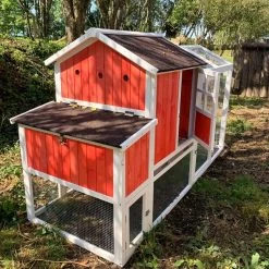Poulailler Ardennais 6 à 8 Poules Toit Shingle 17 Poulailler Ardennais 6 à 8 Poules Toit Shingle -Poulailler Série Magasin poulailler ardennais rouge 8 poules vue dos ouvert soleil