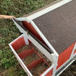 Poulailler Ardennais 6 à 8 Poules Toit Shingle 23 Poulailler Ardennais 6 à 8 Poules Toit Shingle -Poulailler Série Magasin poulailler ardennais rouge pondoir ouvert