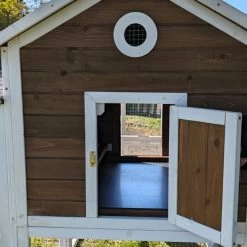 Poulailler Brahma Toit Shingle 6 à 8 Poules Bois FSC 31 Poulailler Brahma Toit Shingle 6 à 8 Poules Bois FSC -Poulailler Série Magasin poulailler brahma vue arri re focus d tail