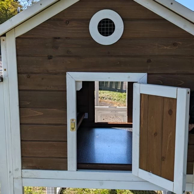 Poulailler Brahma Toit Shingle 6 à 8 Poules Bois FSC 15 Poulailler Brahma Toit Shingle 6 à 8 Poules Bois FSC – Image 13