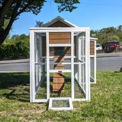 Poulailler Brahma Toit Shingle 6 à 8 Poules Bois FSC 27 Poulailler Brahma Toit Shingle 6 à 8 Poules Bois FSC -Poulailler Série Magasin poulailler brahma vue avant avec enclos