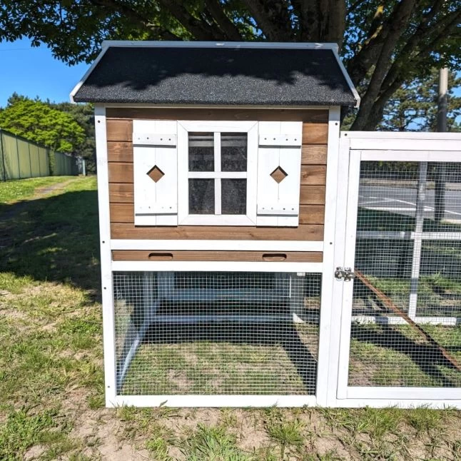 Poulailler Brahma Toit Shingle 6 à 8 Poules Bois FSC 7 Poulailler Brahma Toit Shingle 6 à 8 Poules Bois FSC – Image 5