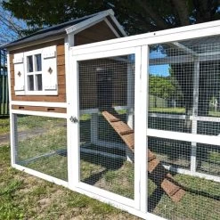 Poulailler Brahma Toit Shingle 6 à 8 Poules Bois FSC 22 Poulailler Brahma Toit Shingle 6 à 8 Poules Bois FSC -Poulailler Série Magasin poulailler brahma vue c t 2