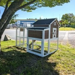 Poulailler Brahma Toit Shingle 6 à 8 Poules Bois FSC 26 Poulailler Brahma Toit Shingle 6 à 8 Poules Bois FSC -Poulailler Série Magasin poulailler brahma vue face arri re