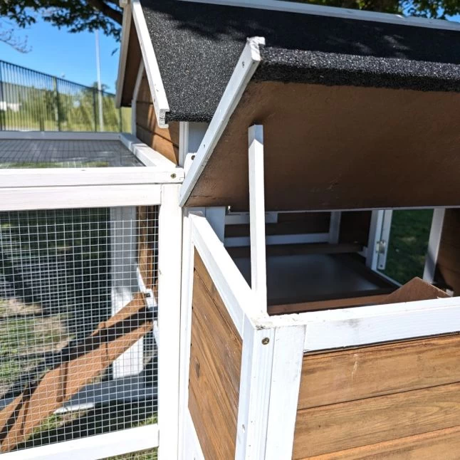 Poulailler Brahma Toit Shingle 6 à 8 Poules Bois FSC 14 Poulailler Brahma Toit Shingle 6 à 8 Poules Bois FSC – Image 12