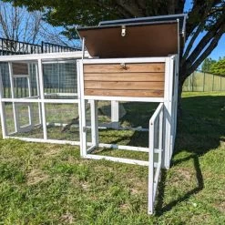 Poulailler Brahma Toit Shingle 6 à 8 Poules Bois FSC 25 Poulailler Brahma Toit Shingle 6 à 8 Poules Bois FSC -Poulailler Série Magasin poulailler brahma vue tout ouvert