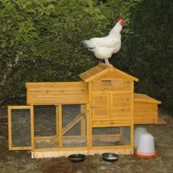 Poulailler Bréda S 1 à 2 Poules Toit Bois 24 Poulailler Bréda S 1 à 2 Poules Toit Bois -Poulailler Série Magasin poulailler breda s 2 poules 1500s jean francois ranvier