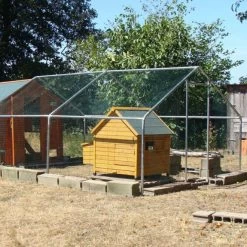 Poulailler Cémani L Toit Shingle Vert 4 à 6 Poules 13 Poulailler Cémani L Toit Shingle Vert 4 à 6 Poules -Poulailler Série Magasin poulailler cemani dans parc grillage