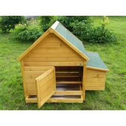 Poulailler Cémani L Toit Shingle Vert 4 à 6 Poules 10 Poulailler Cémani L Toit Shingle Vert 4 à 6 Poules -Poulailler Série Magasin poulailler cemani vue arriere ouvert