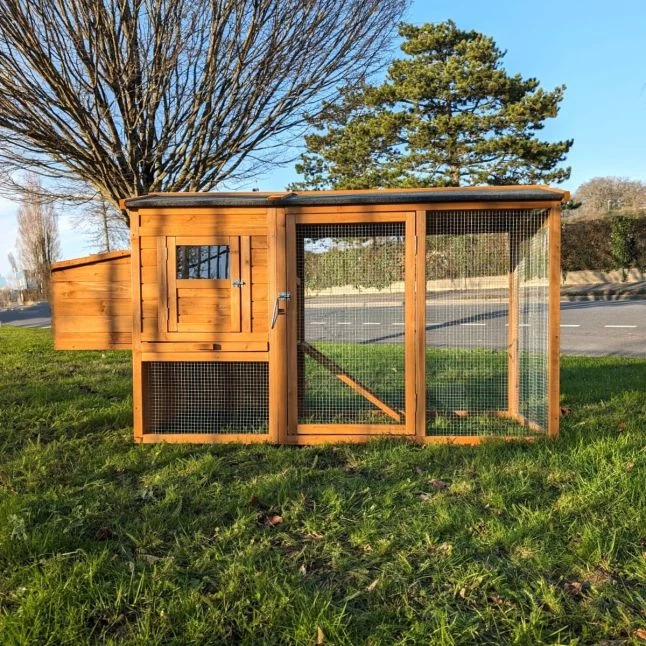 Poulailler Chabo Toit Shingle 2 à 4 Poules 3 Poulailler Chabo Toit Shingle 2 à 4 Poules