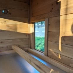 Poulailler Chabo Toit Shingle 2 à 4 Poules 23 Poulailler Chabo Toit Shingle 2 à 4 Poules -Poulailler Série Magasin poulailler chabo vue focus int rieur