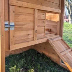 Poulailler Chabo Toit Shingle 2 à 4 Poules 22 Poulailler Chabo Toit Shingle 2 à 4 Poules -Poulailler Série Magasin poulailler chabo vue focus ouverture porte entr e