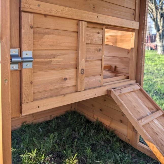 Poulailler Chabo Toit Shingle 2 à 4 Poules 12 Poulailler Chabo Toit Shingle 2 à 4 Poules – Image 10