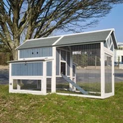 Poulailler Deluxe Bleu Toit Shingle Gris 10 à 12 Poules 20 Poulailler Deluxe Bleu Toit Shingle Gris 10 à 12 Poules -Poulailler Série Magasin poulailler deluxe 12 poules bleu cote face ferme