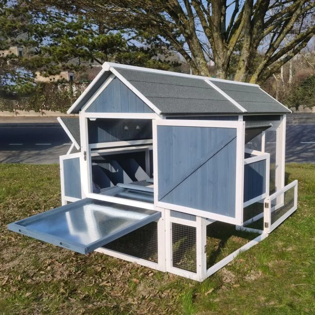 Poulailler Deluxe Bleu Toit Shingle Gris 10 à 12 Poules 11 Poulailler Deluxe Bleu Toit Shingle Gris 10 à 12 Poules – Image 9