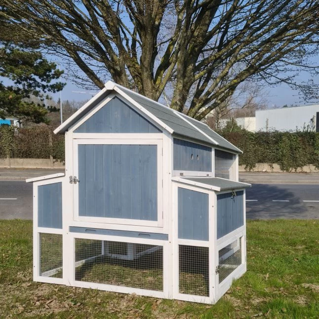 Poulailler Deluxe Bleu Toit Shingle Gris 10 à 12 Poules 10 Poulailler Deluxe Bleu Toit Shingle Gris 10 à 12 Poules – Image 8