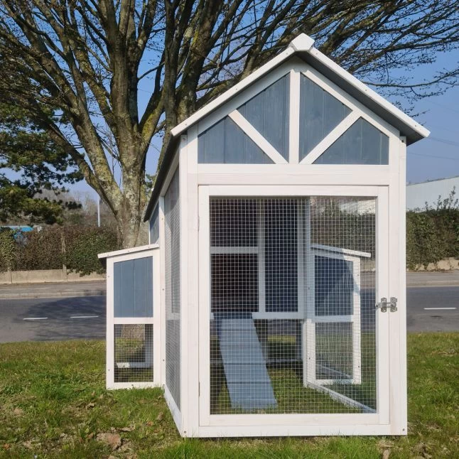 Poulailler Deluxe Bleu Toit Shingle Gris 10 à 12 Poules 4 Poulailler Deluxe Bleu Toit Shingle Gris 10 à 12 Poules – Image 2