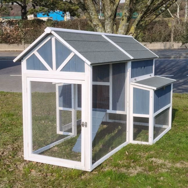 Poulailler Deluxe Bleu Toit Shingle Gris 10 à 12 Poules 6 Poulailler Deluxe Bleu Toit Shingle Gris 10 à 12 Poules – Image 4