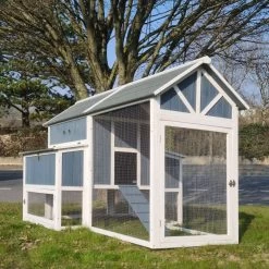 Poulailler Deluxe Bleu Toit Shingle Gris 10 à 12 Poules