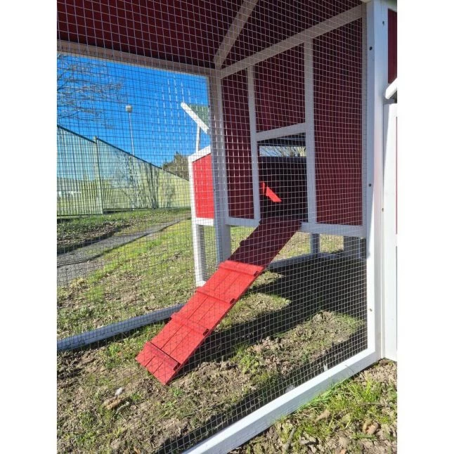 Poulailler Deluxe Rouge Toit Shingle Vert 10 à 12 Poules V3.0 14 Poulailler Deluxe Rouge Toit Shingle Vert 10 à 12 Poules V3.0 – Image 12