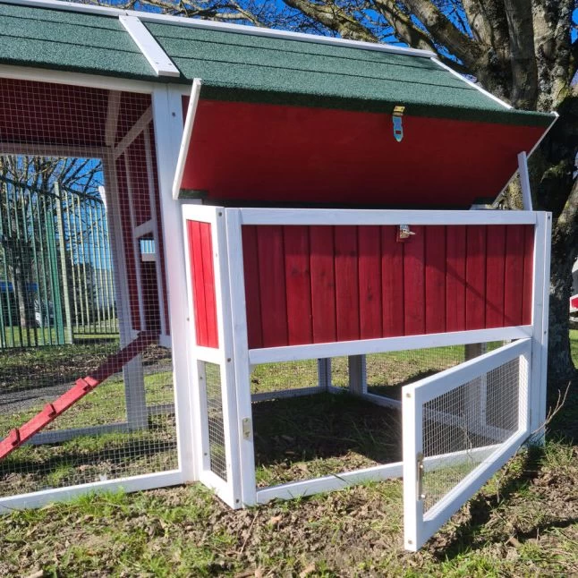 Poulailler Deluxe Rouge Toit Shingle Vert 10 à 12 Poules V3.0 9 Poulailler Deluxe Rouge Toit Shingle Vert 10 à 12 Poules V3.0 – Image 7