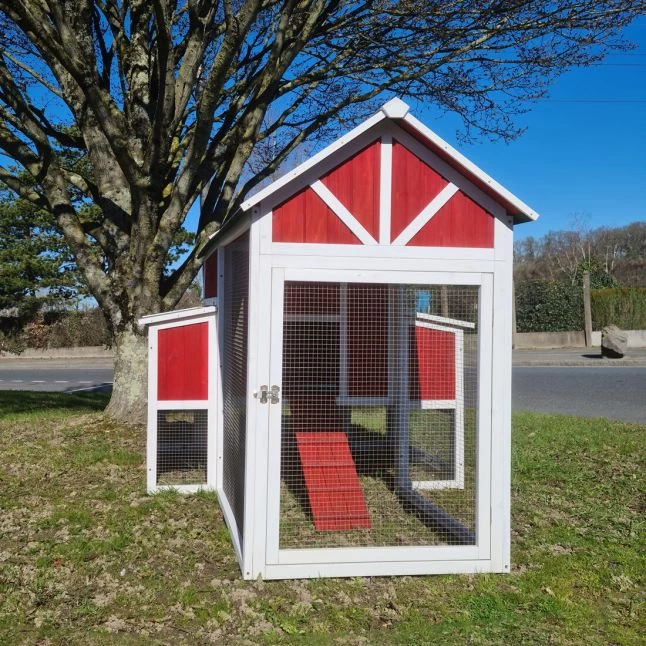 Poulailler Deluxe Rouge Toit Shingle Vert 10 à 12 Poules V3.0 5 Poulailler Deluxe Rouge Toit Shingle Vert 10 à 12 Poules V3.0 – Image 3
