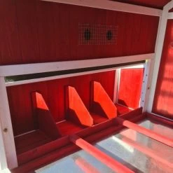 Poulailler Deluxe Rouge Toit Shingle Vert 10 à 12 Poules V3.0 24 Poulailler Deluxe Rouge Toit Shingle Vert 10 à 12 Poules V3.0 -Poulailler Série Magasin poulailler deluxe rouge toit vert 12 poules vue interieure perchoirs pondoirs