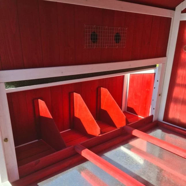 Poulailler Deluxe Rouge Toit Shingle Vert 10 à 12 Poules V3.0 13 Poulailler Deluxe Rouge Toit Shingle Vert 10 à 12 Poules V3.0 – Image 11