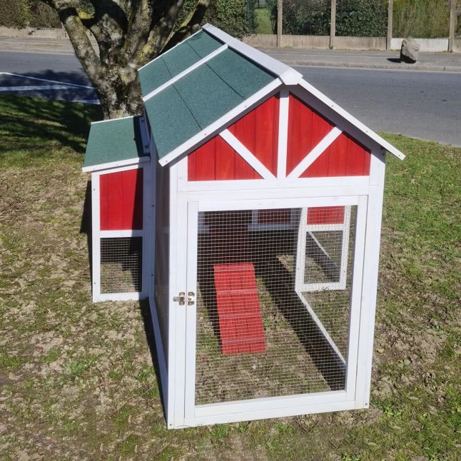 Poulailler Deluxe Rouge Toit Shingle Vert 10 à 12 Poules V3.0 4 Poulailler Deluxe Rouge Toit Shingle Vert 10 à 12 Poules V3.0 – Image 2