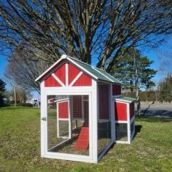 Poulailler Deluxe Rouge Toit Shingle Vert 10 à 12 Poules V3.0 17 Poulailler Deluxe Rouge Toit Shingle Vert 10 à 12 Poules V3.0 -Poulailler Série Magasin poulailler deluxe rouge toit vert 12 poules vue toit cote gauche