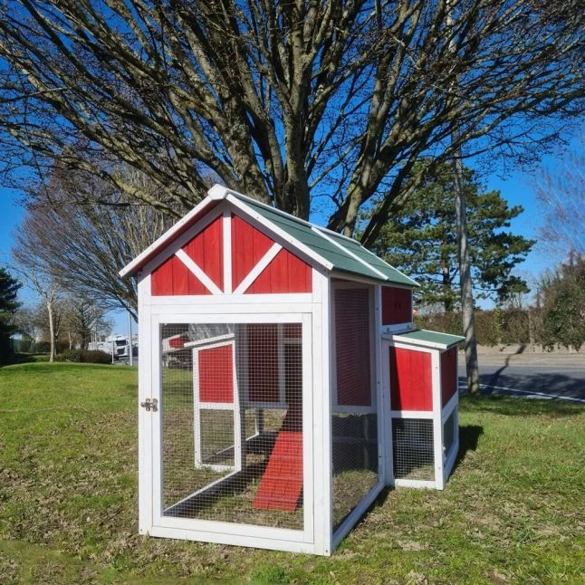 Poulailler Deluxe Rouge Toit Shingle Vert 10 à 12 Poules V3.0 6 Poulailler Deluxe Rouge Toit Shingle Vert 10 à 12 Poules V3.0 – Image 4