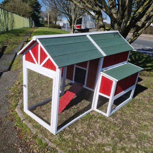 Poulailler Deluxe Rouge Toit Shingle Vert 10 à 12 Poules V3.0 7 Poulailler Deluxe Rouge Toit Shingle Vert 10 à 12 Poules V3.0 – Image 5