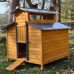 Poulailler Farmer XL Toit En Tôle Ouvrant 6 à 10 Poules Bois FSC 13 Poulailler Farmer XL Toit En Tôle Ouvrant 6 à 10 Poules Bois FSC -Poulailler Série Magasin poulailler farmer xl toit tole profil avant