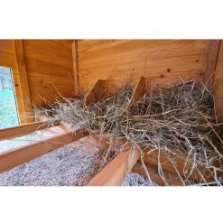 Poulailler Farmer XL Toit En Tôle Ouvrant 6 à 10 Poules Bois FSC 18 Poulailler Farmer XL Toit En Tôle Ouvrant 6 à 10 Poules Bois FSC -Poulailler Série Magasin poulailler farmer xl toit tole vue interieur