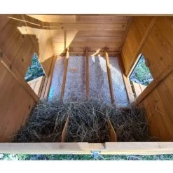 Poulailler Farmer XL Toit En Tôle Ouvrant 6 à 10 Poules Bois FSC 16 Poulailler Farmer XL Toit En Tôle Ouvrant 6 à 10 Poules Bois FSC -Poulailler Série Magasin poulailler farmer xl toit tole vue interieur pondoir ouvert