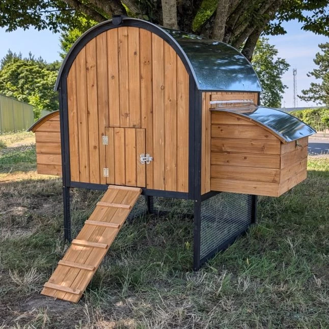 Pondoir Pour Poulailler Finlandais 7 Pondoir Pour Poulailler Finlandais – Image 5